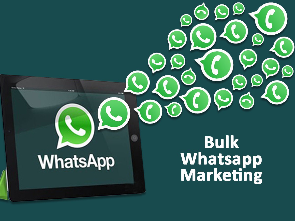 whatsapp-bulk-sms